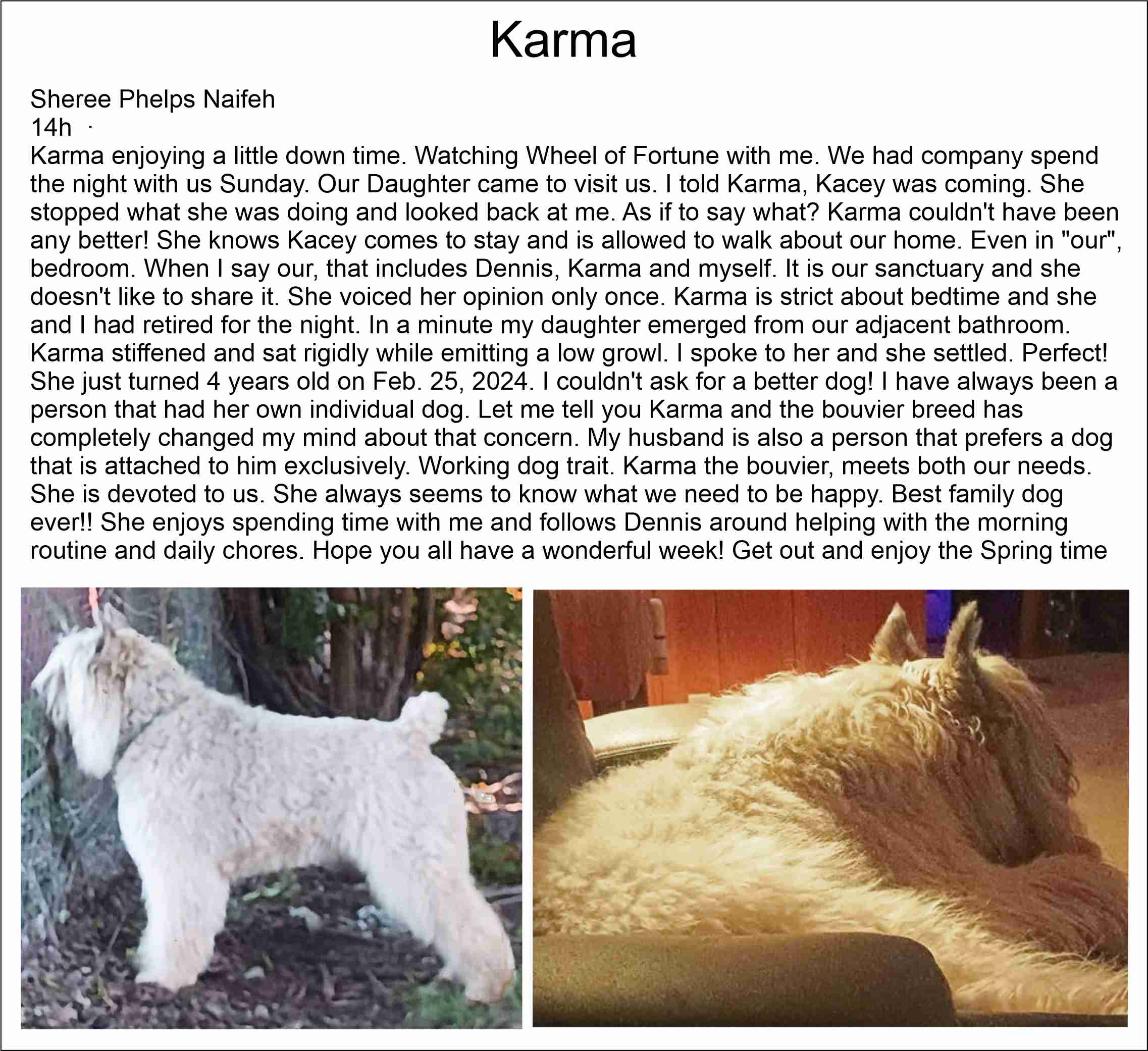 Karma 2024